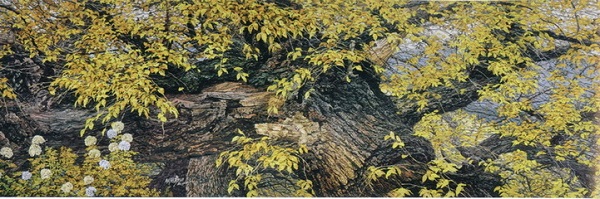 1465283178418915.jpg 2.jpg